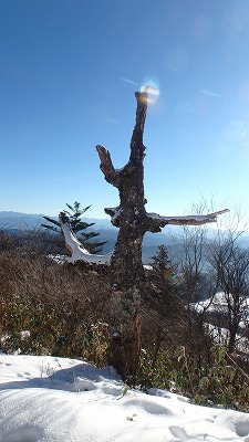 2014-12-26 スノーシュー下見（AM茶臼山、PM蛇峠） 029